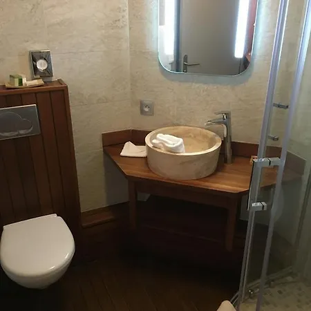 酒店 巴黎13区康福绿色酒店 3*